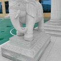 济南 白麻花岗岩动物异形石雕-大象
