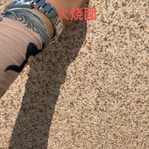 济南黄金麻火烧面